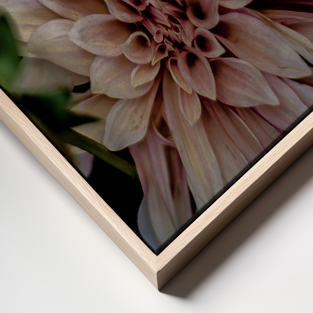 Canvas print - Queen of the Night frame close up