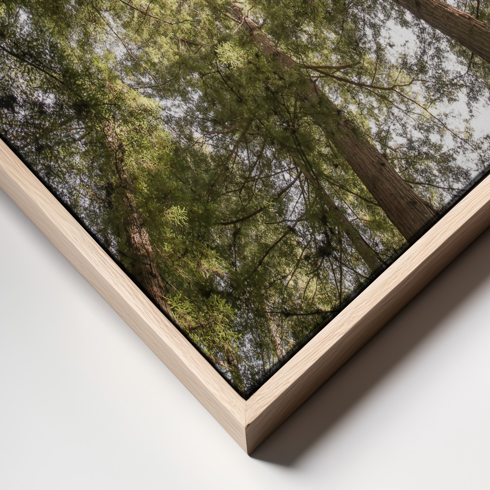 Canvas taulu - Reedwood Forest kehys lähikuva - luonnollinen kehys