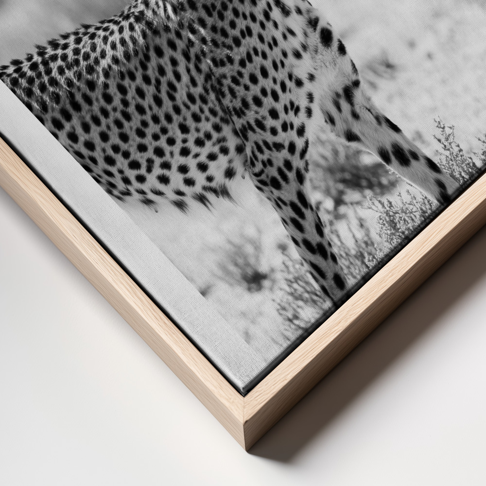 Canvas print - Safari Katjpg frame close up