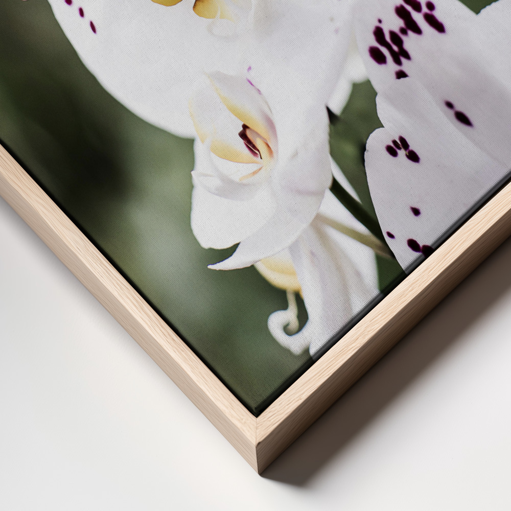 Canvas print - Spring Blooms frame close up - natural frame