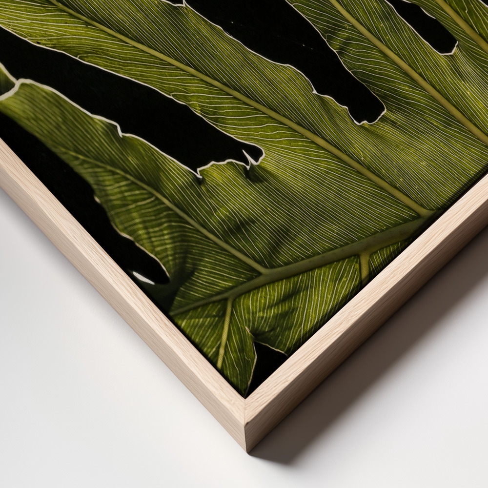 Lienzo - Twilight primer plano del marco - marco natural