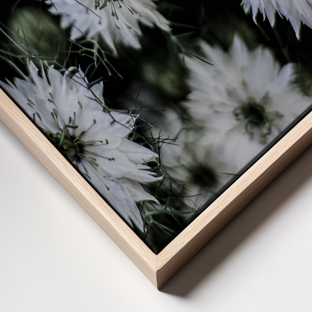 Canvas print - Wild Daisey frame close up