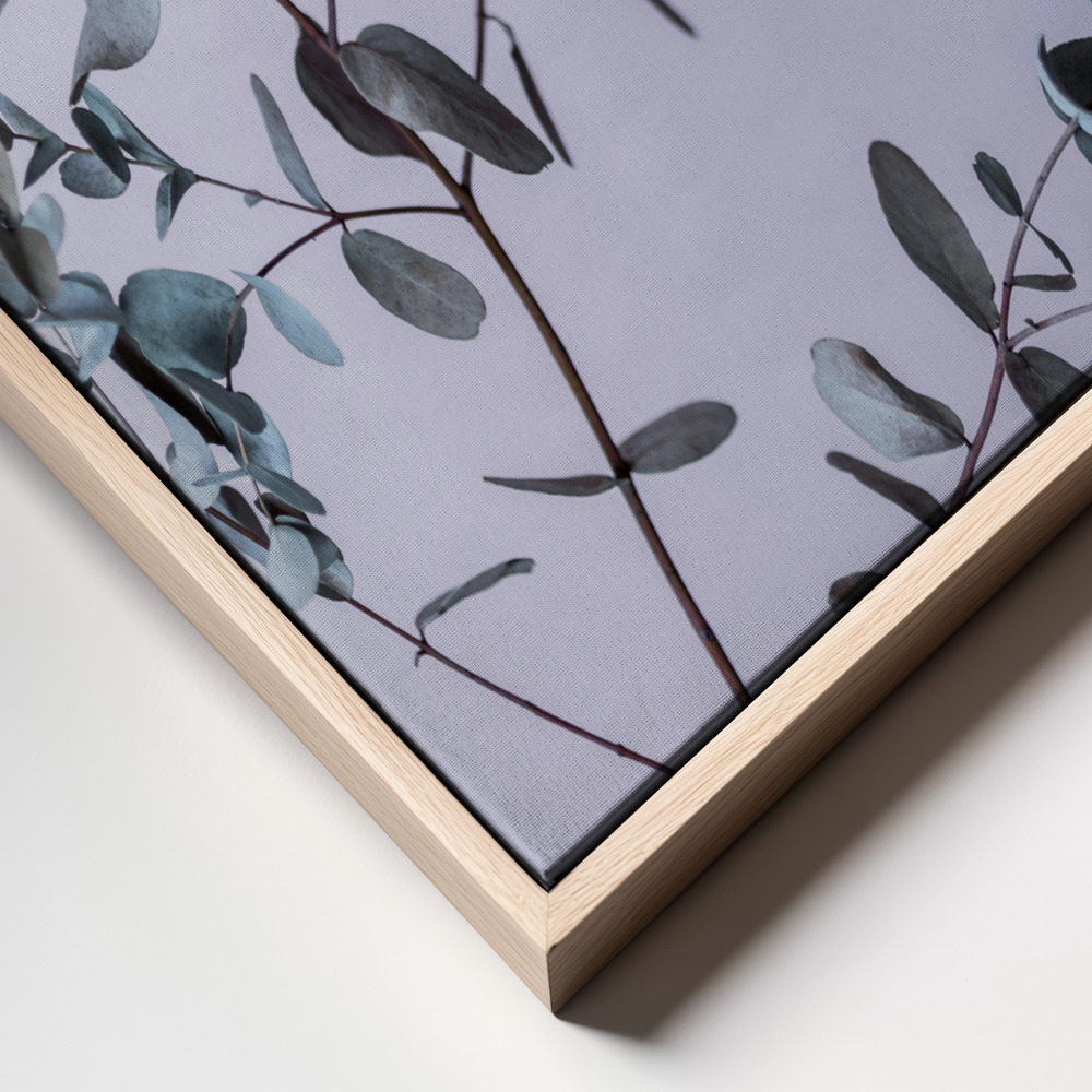 Toile - Eucalyptus 13 cadre en gros plan - cadre naturel