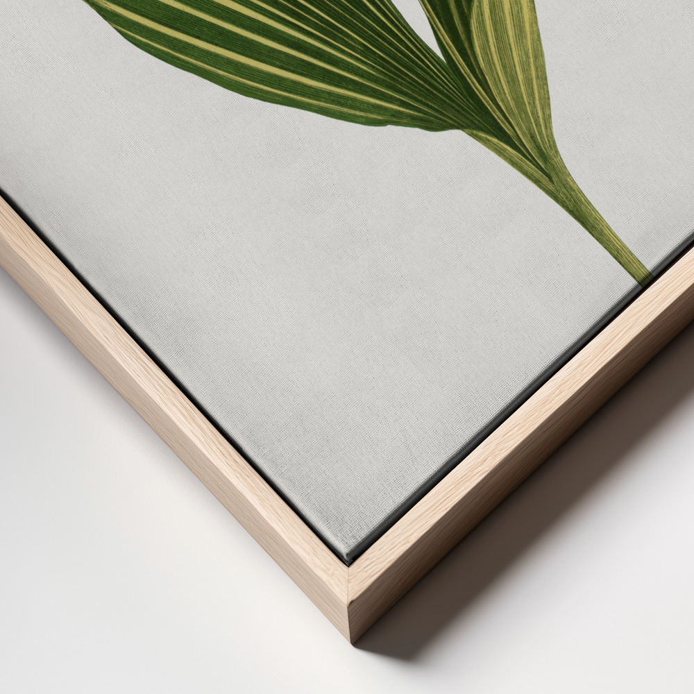 Lærred - Lily of the Valley Leaf Illustration frame close up