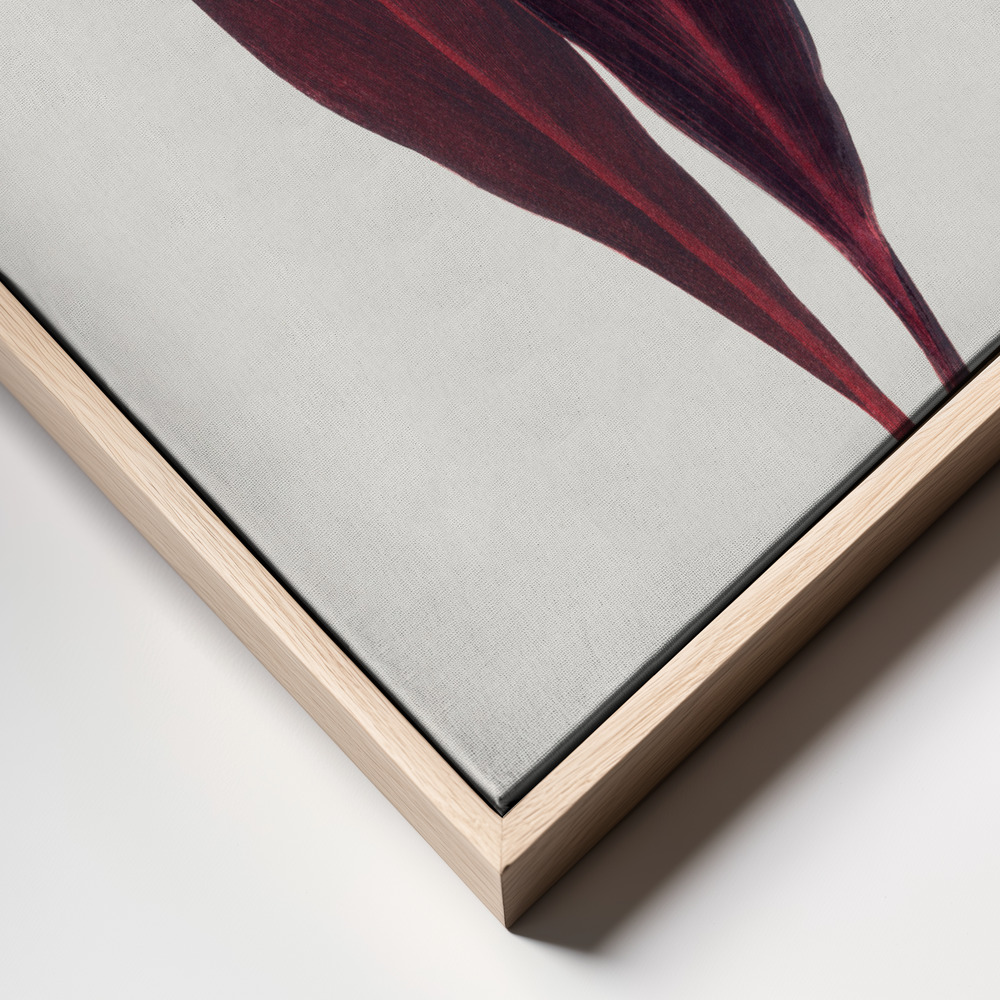 Lærred - Pink Dracaena Ferrea Leaf Illustration frame close up