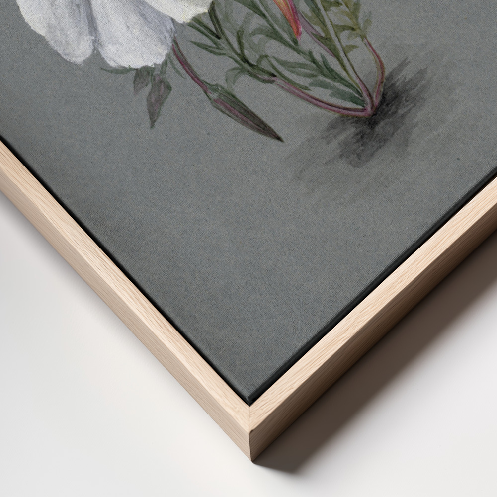 Canvas schilderi - Giant Helleborine (1880) frame close up