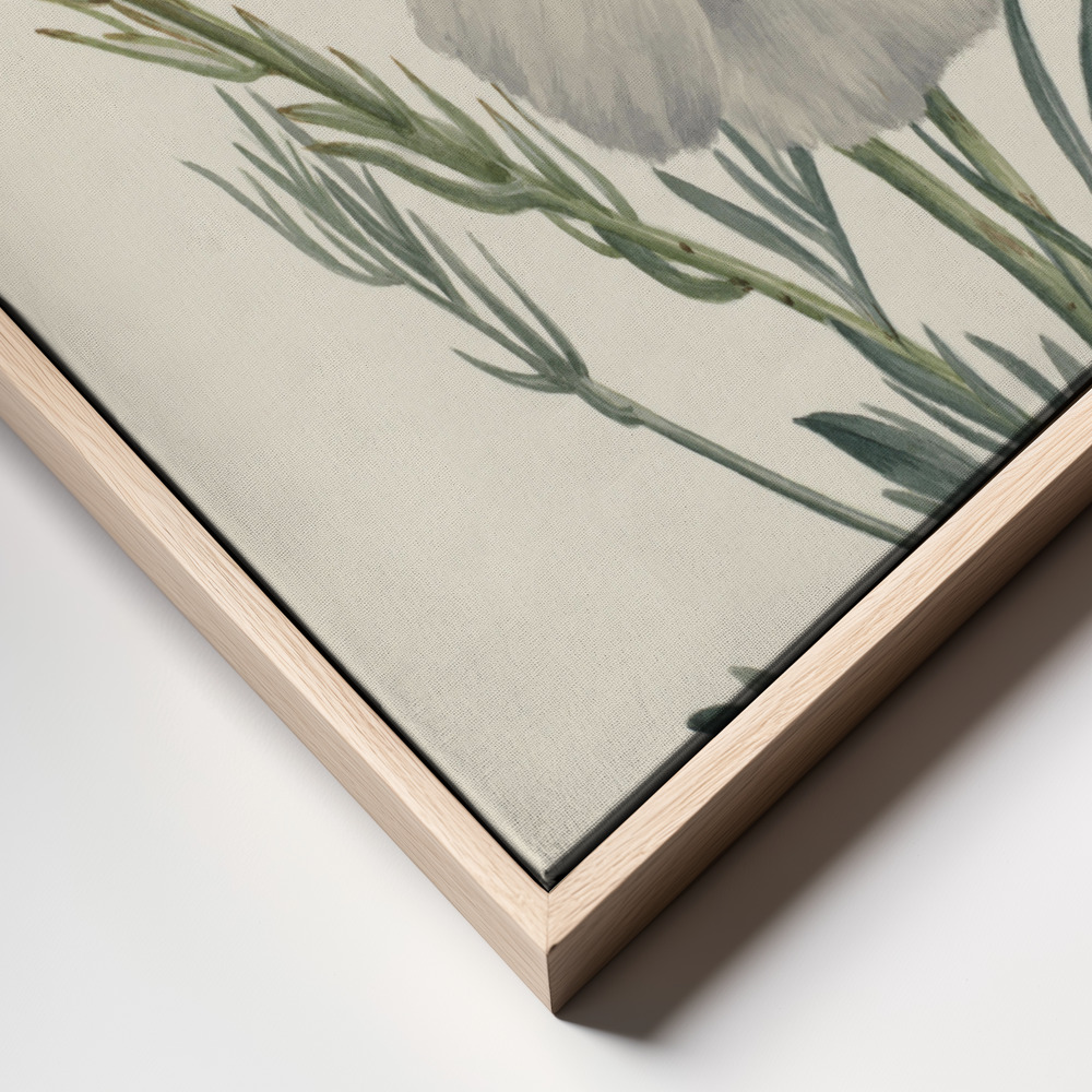 Canvas print - Matilija Poppy frame close up
