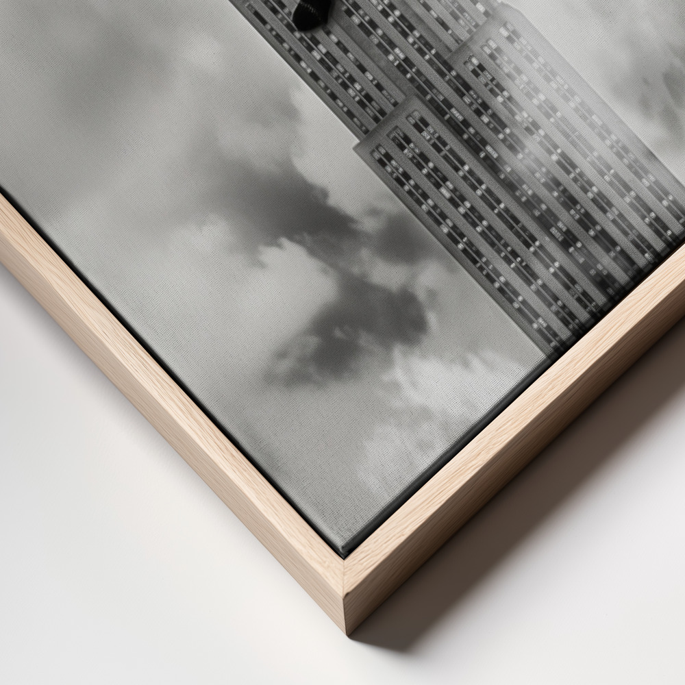 Canvas taulu - Cat on top kehys lähikuva - luonnollinen kehys