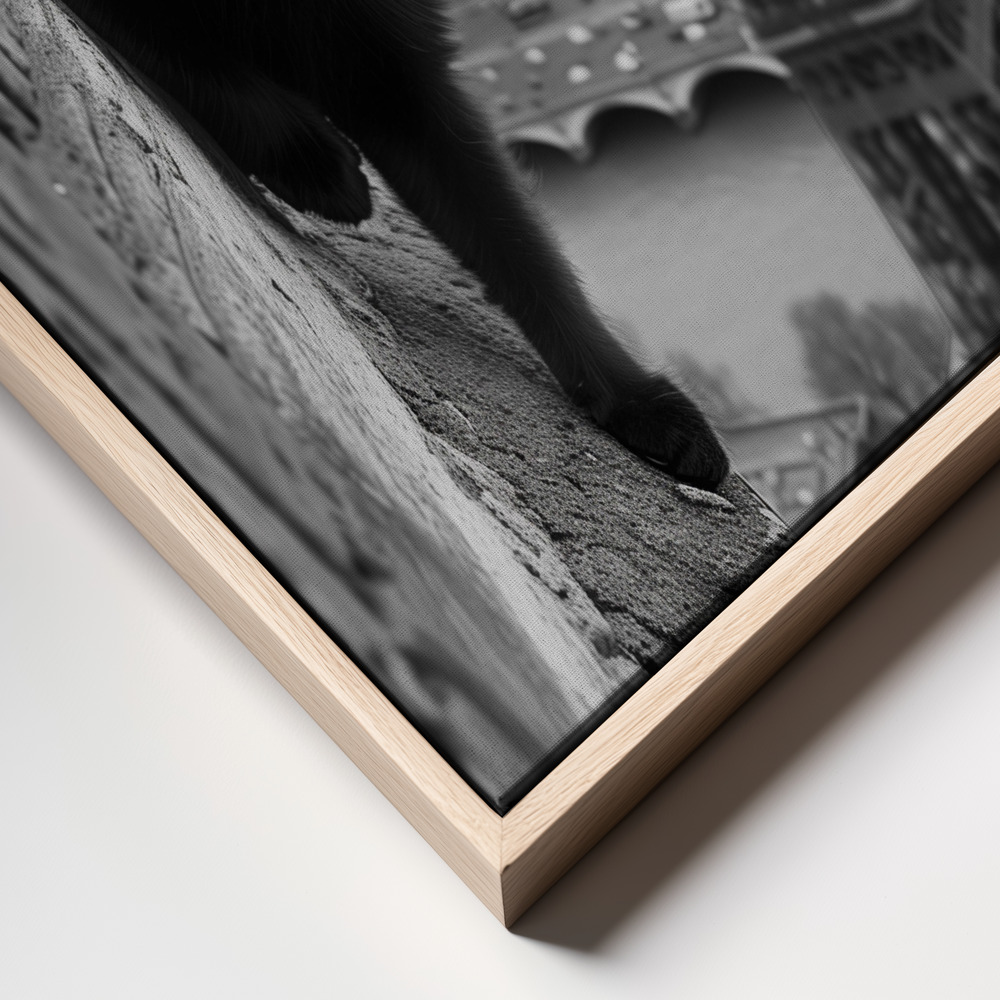 Canvas print - Kitty in Paris frame close up - natural frame