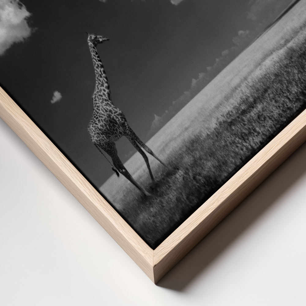 Canvas print - Gone with the Clouds frame close up
