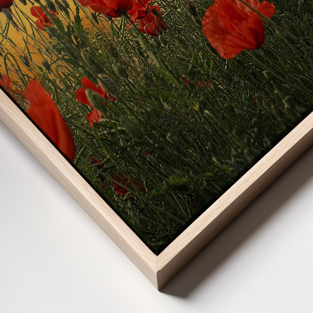 Canvas schilderi - Poppies frame close up - natuurlijk frame