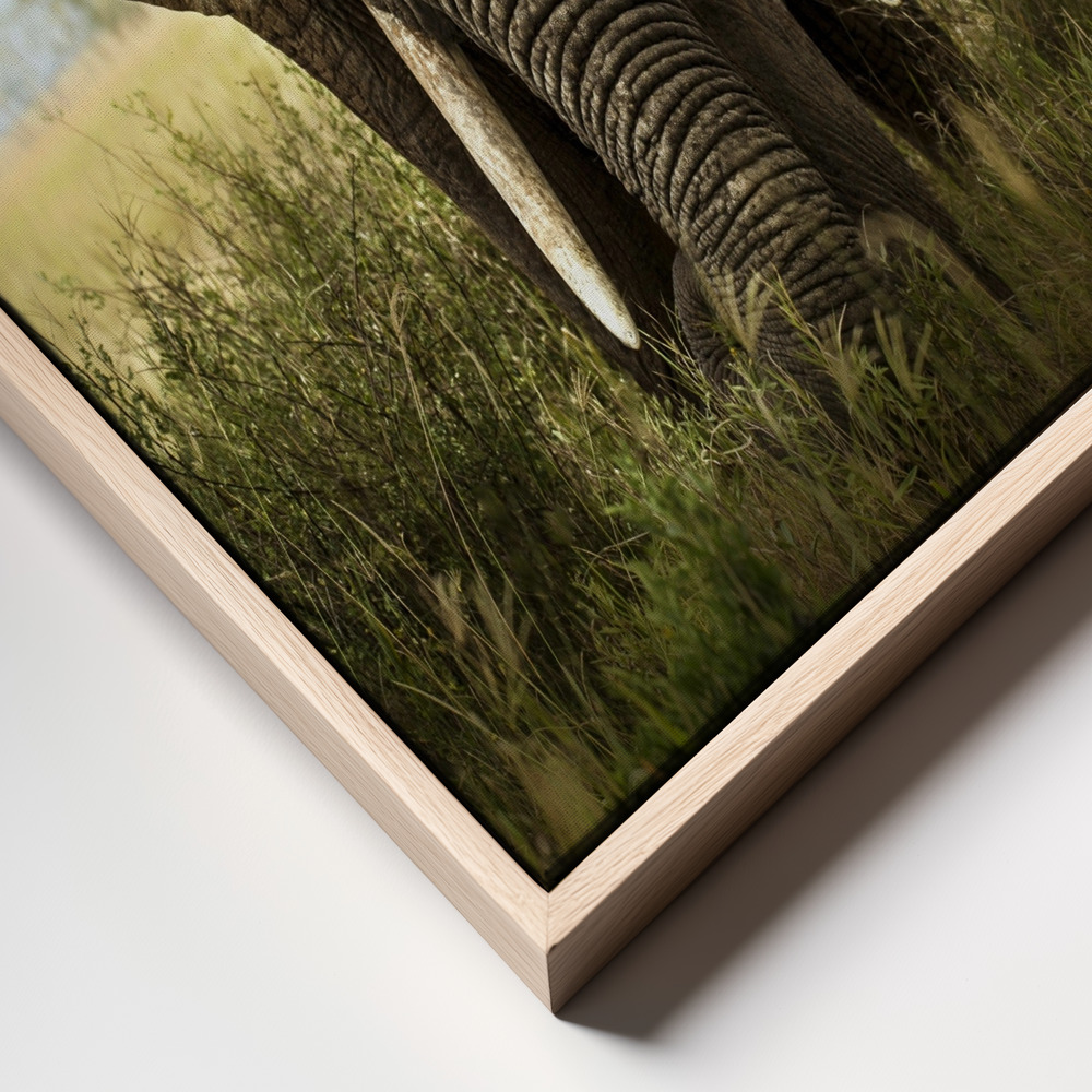 Stampe su tela - Encounters in Serengeti frame close up