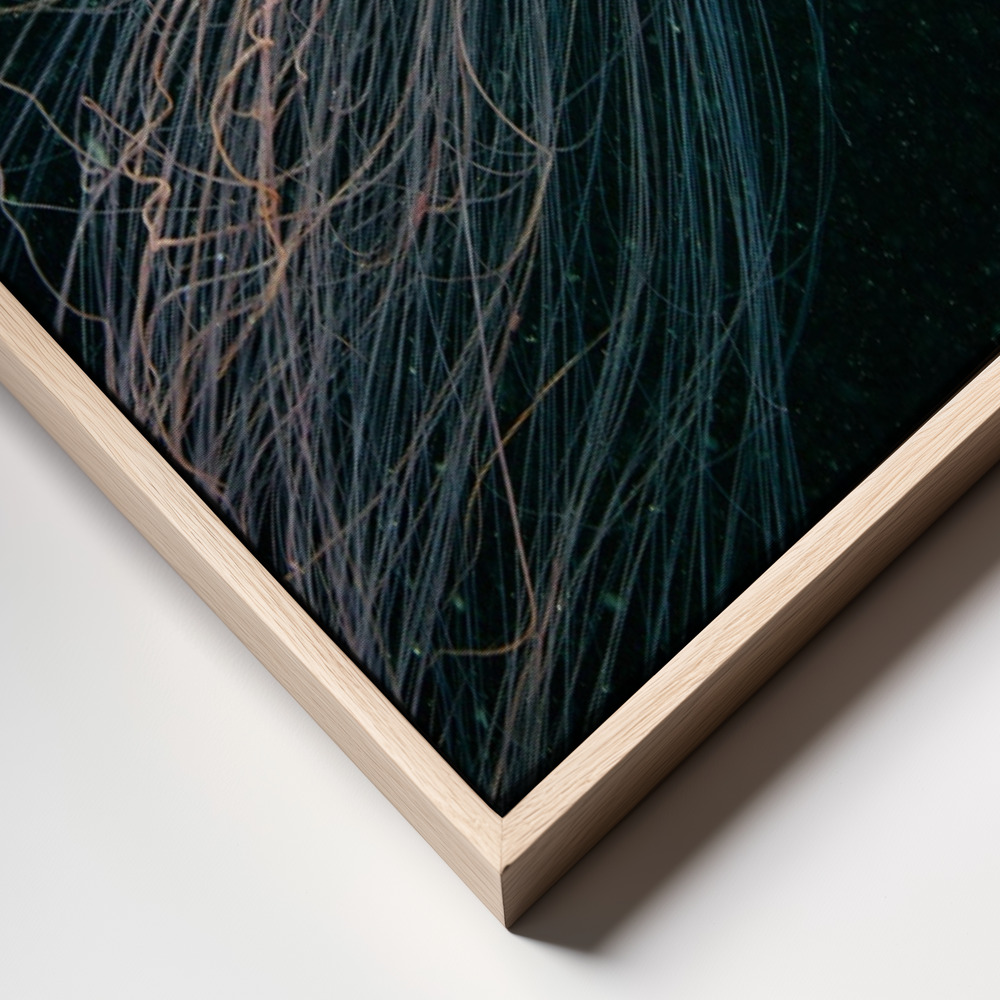 Canvas print - Longtail frame close up