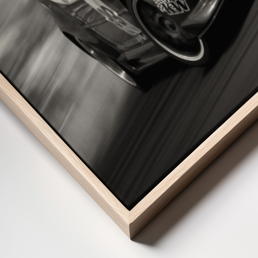 Canvas print - DR 1 FT frame close up
