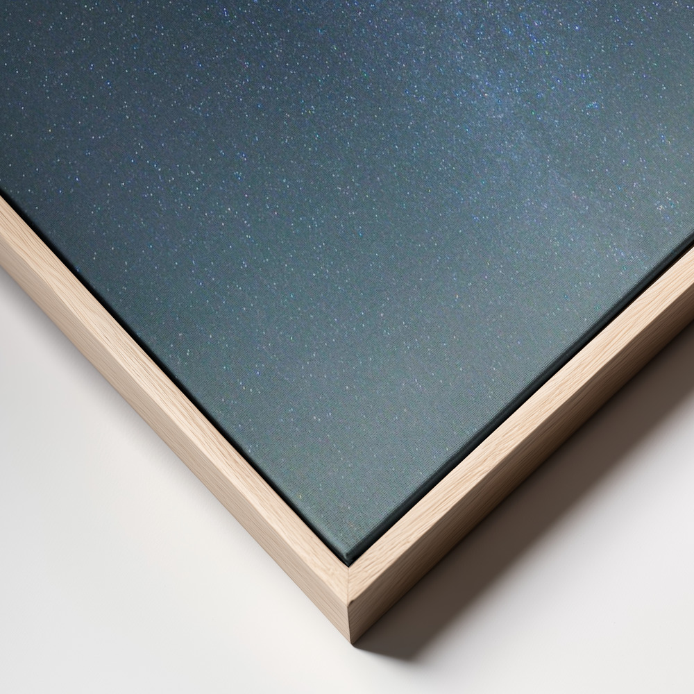 Canvas print - Meteor night frame close up