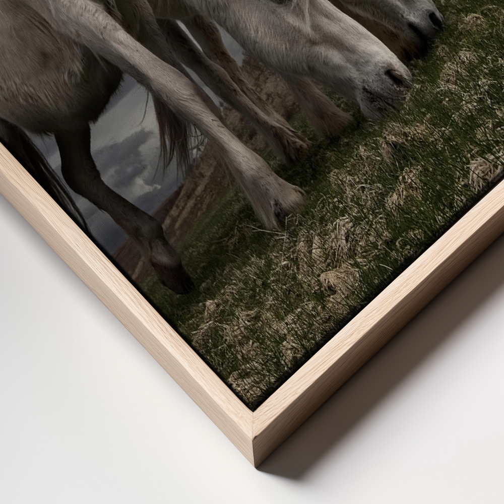 Canvas print - Two years later frame close up