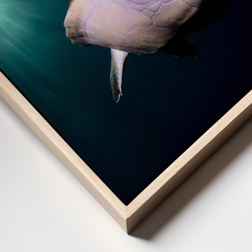 Canvas print - Afternoon frame close up