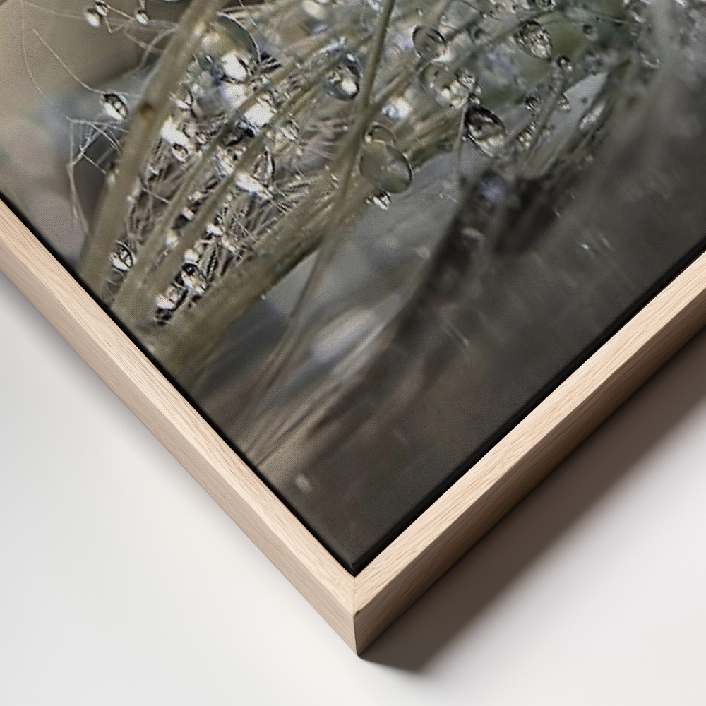 Canvas print - Pearls frame close up