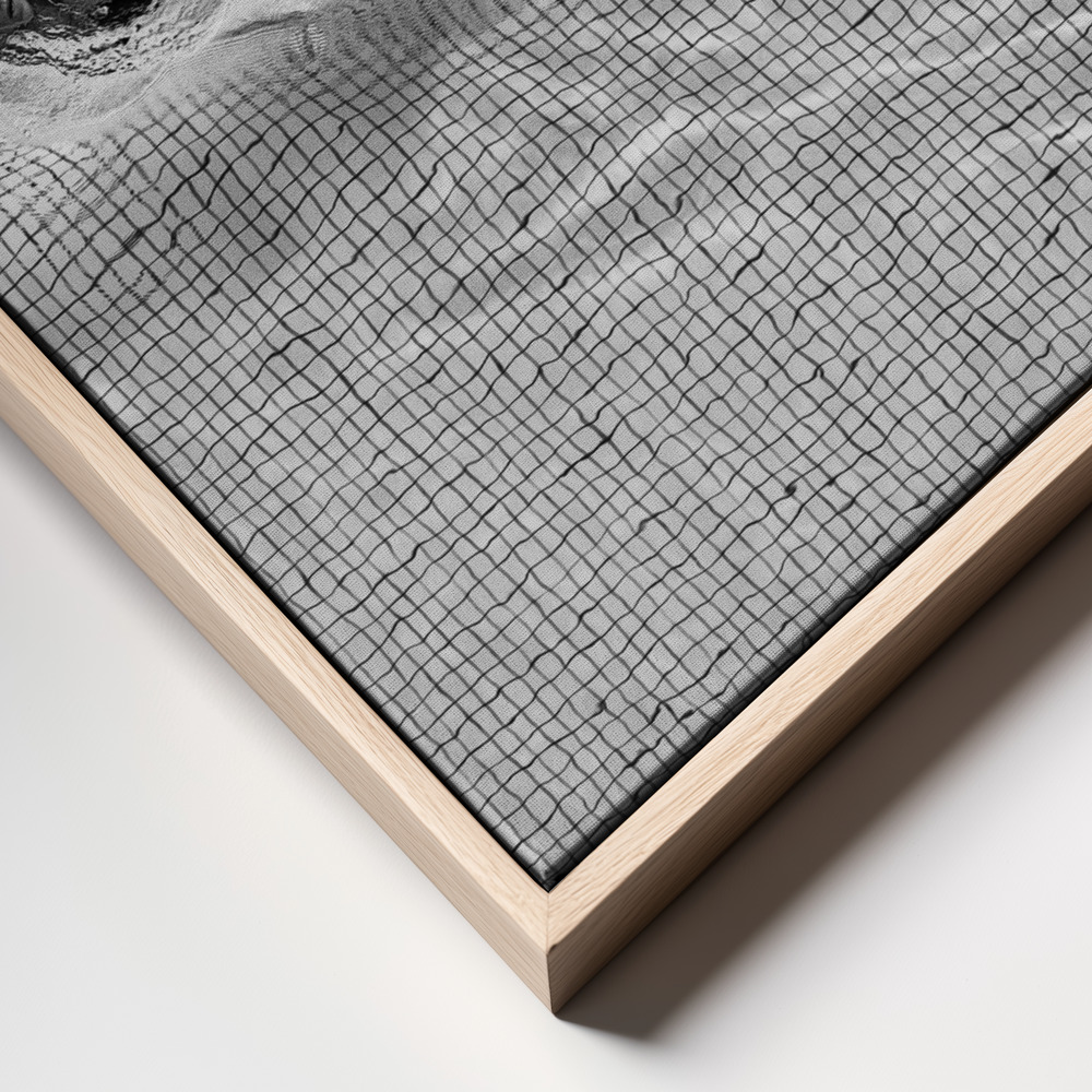 Canvas print - Breaking the net frame close up