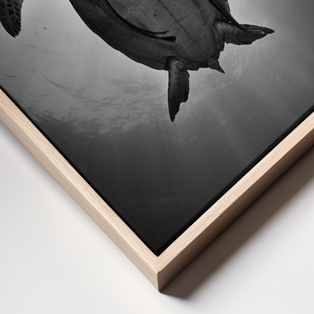 Canvas print - Sun frame close up