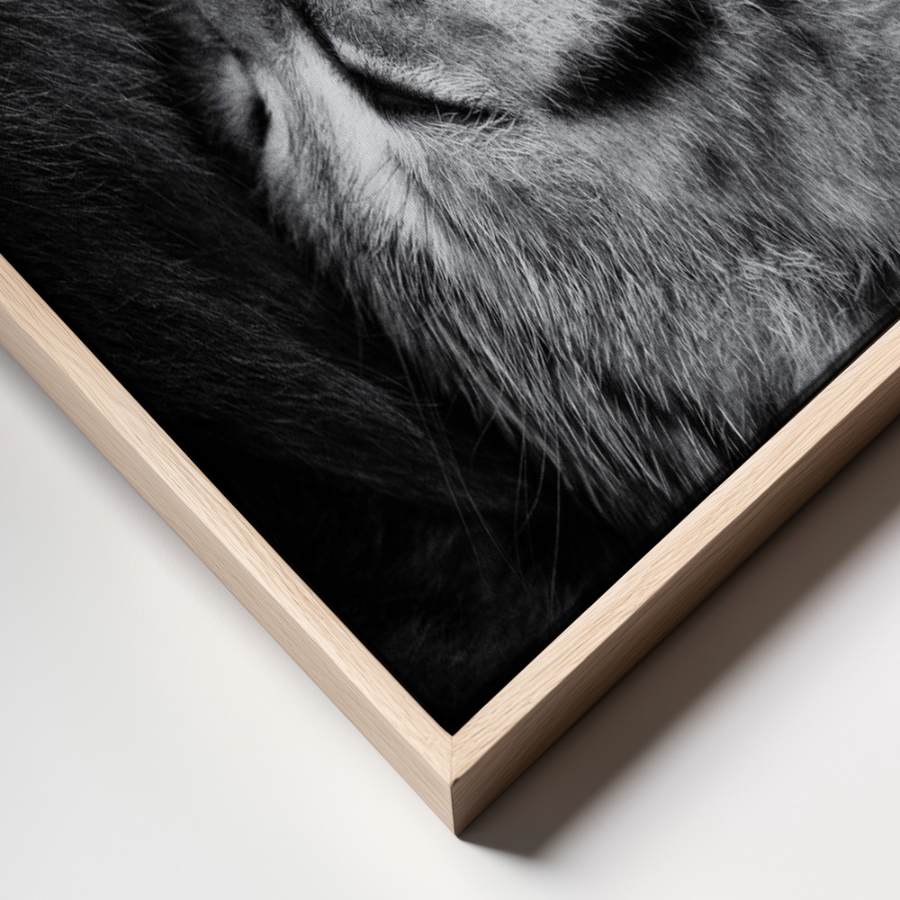Lærred - Yin and Yang frame close up