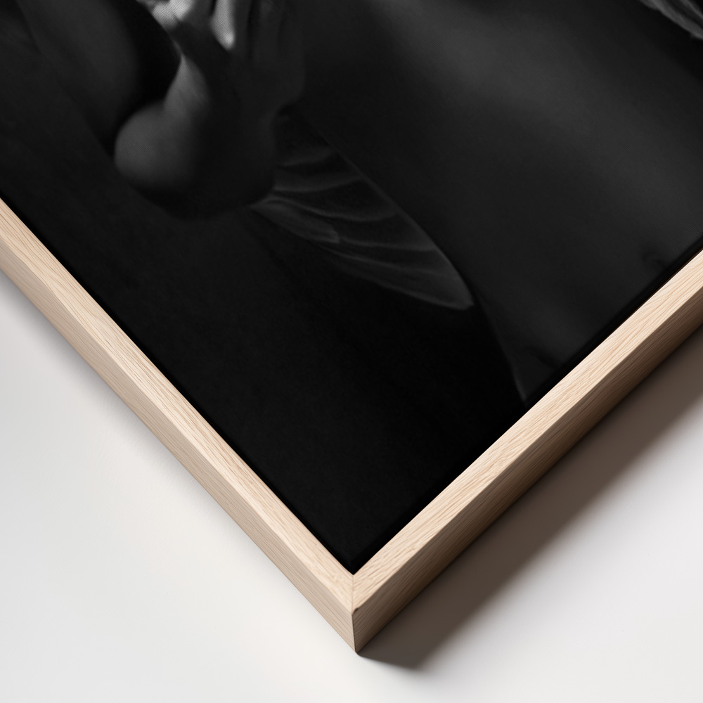 Canvas taulu - Fallen angel kehys lähikuva - luonnollinen kehys