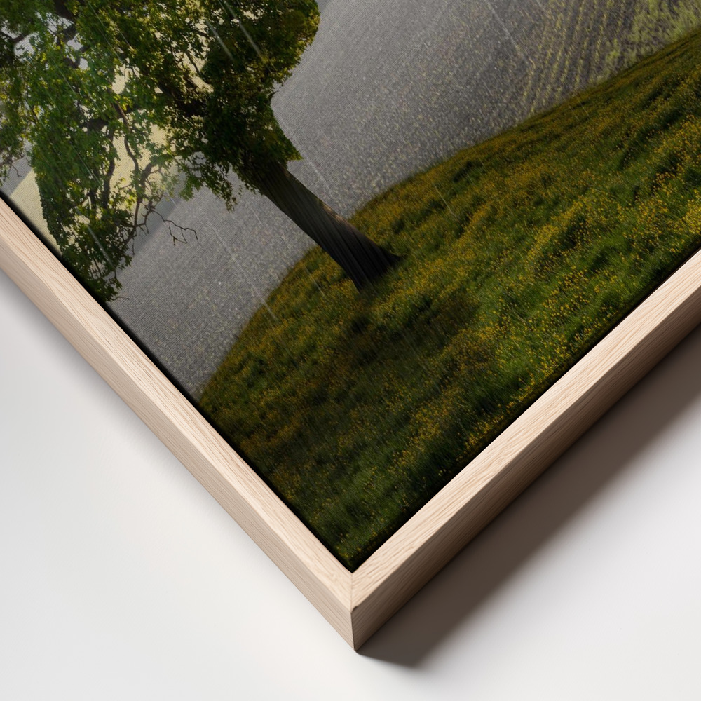 Canvas print - Point of View frame close up