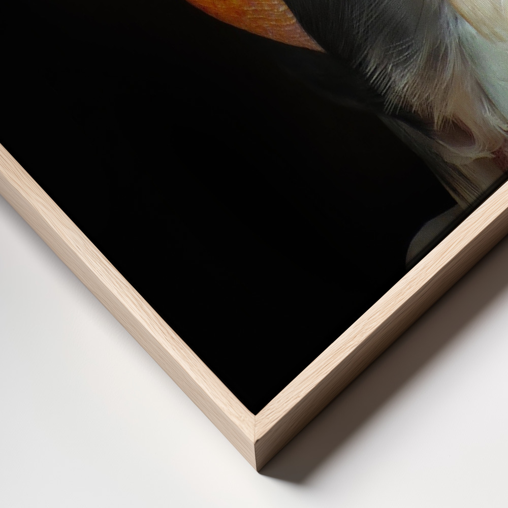 Canvas print - King vulture-Sarcoramphus papa frame close up