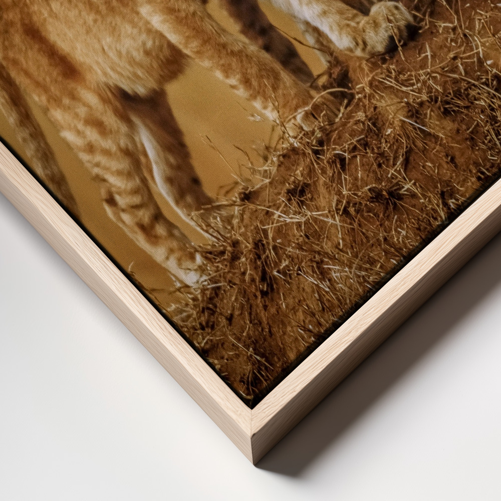 Canvas schilderi - Brothers for Life frame close up - natuurlijk frame