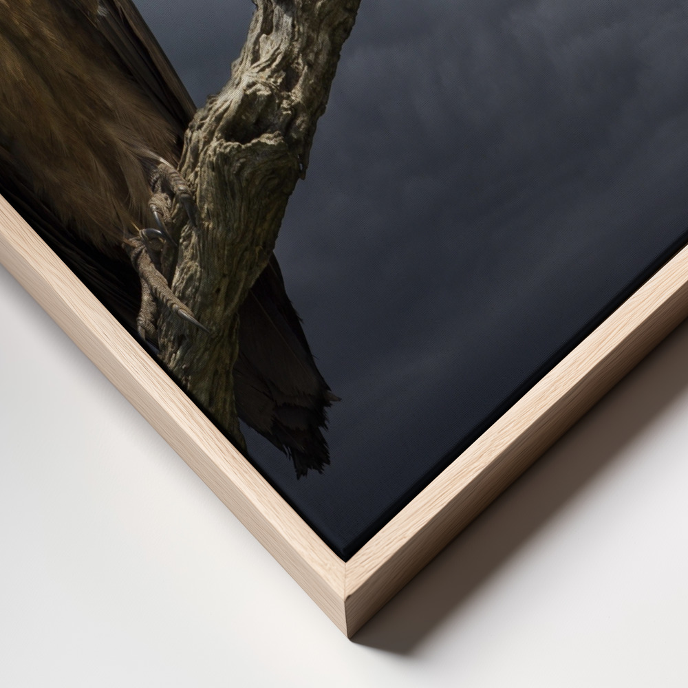 Canvas schilderi - The Vulture frame close up - natuurlijk frame
