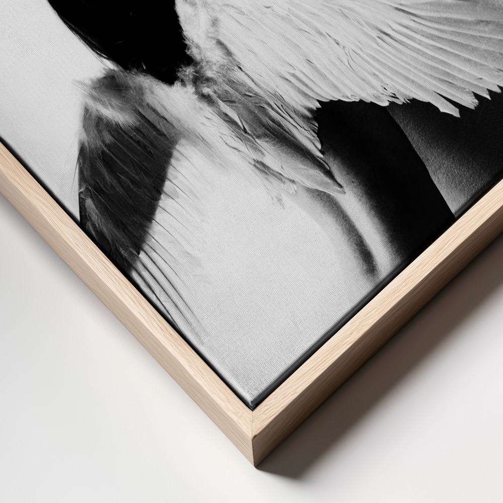 Canvas print - Not fly frame close up
