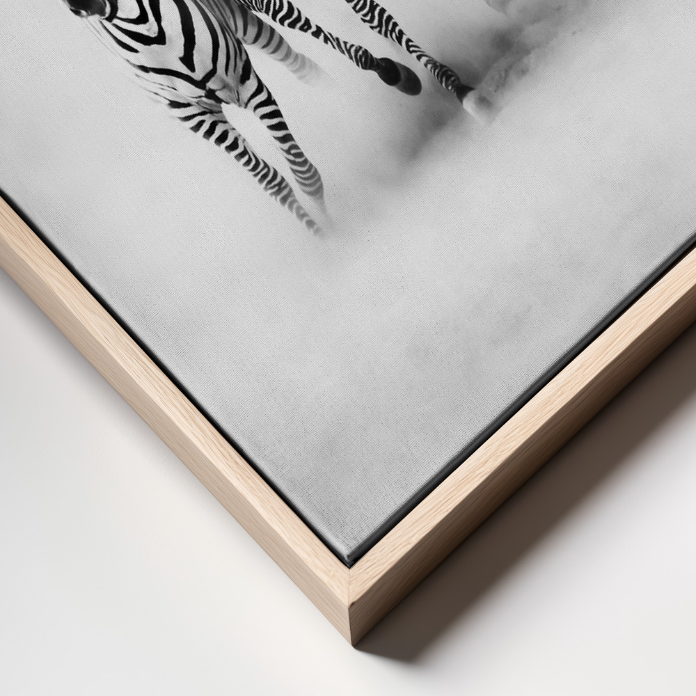 Canvas print - ZEBRAS frame close up