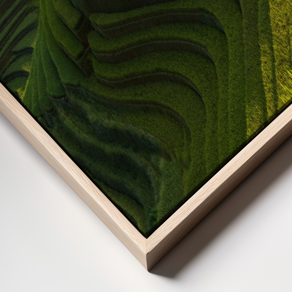 Stampe su tela - Gold rice terrace in mu cang chai,Vietnam. frame close up