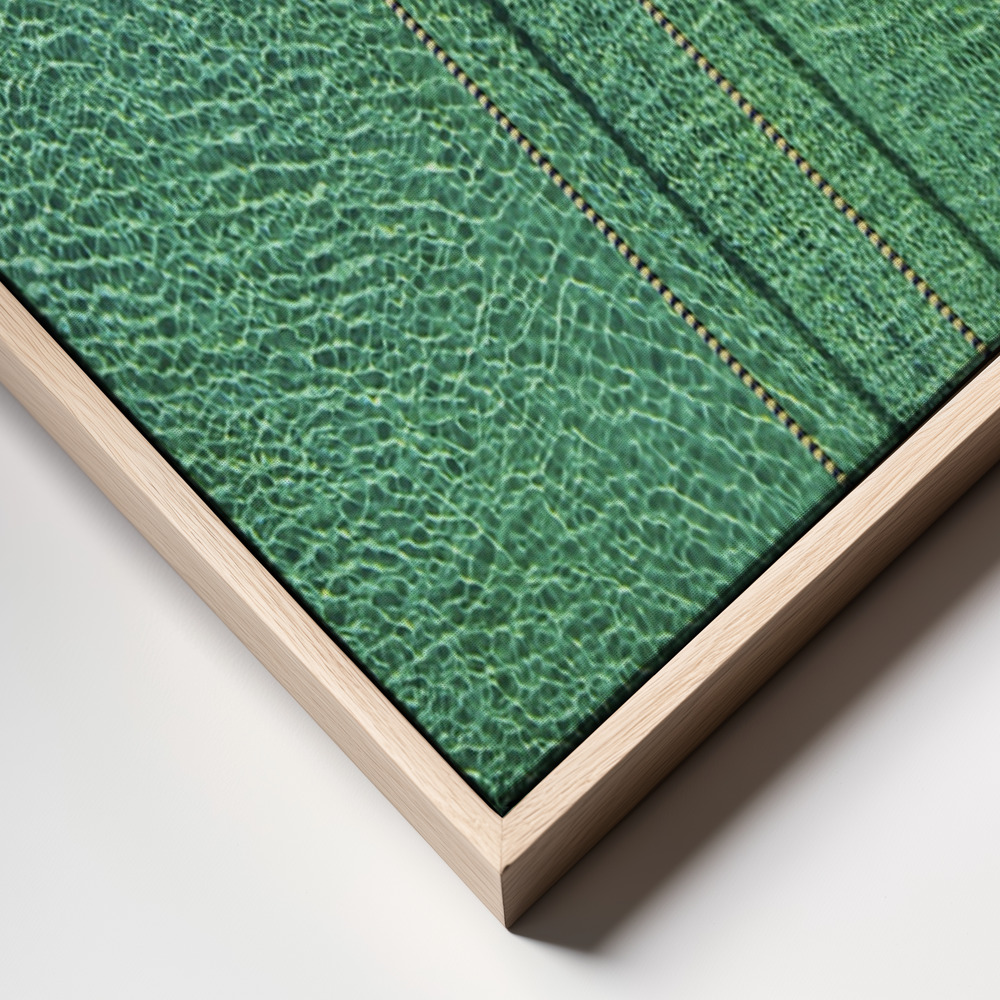 Canvas print - Swimmer frame close up