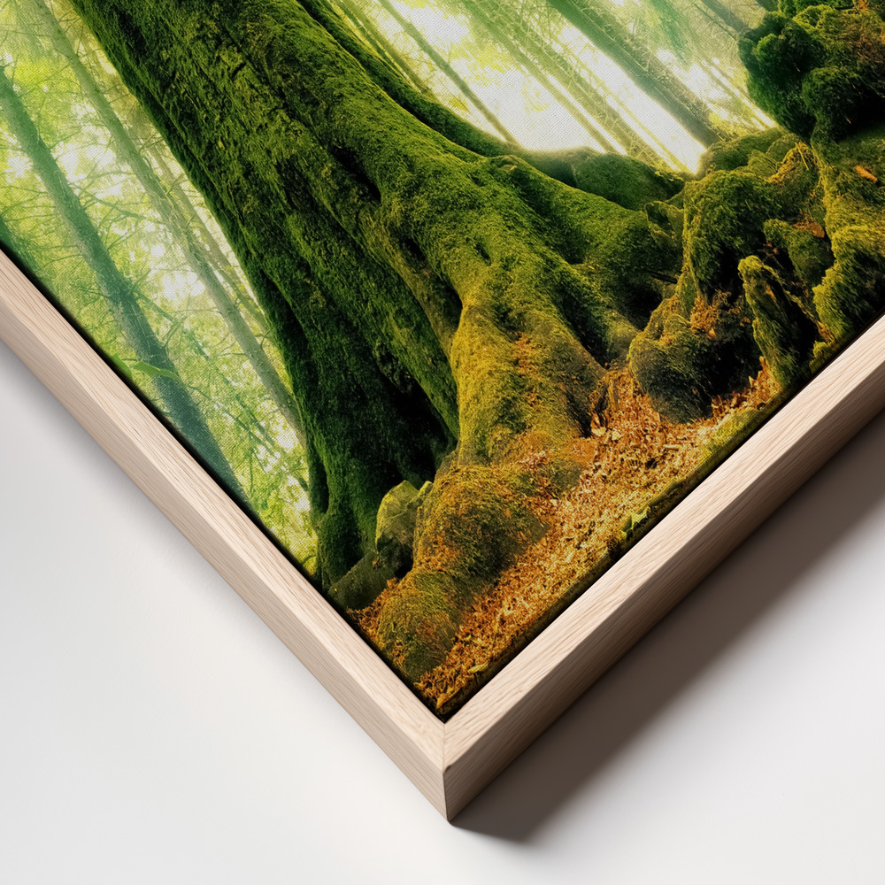 Canvas schilderi - Ponthus' Beech frame close up - natuurlijk frame