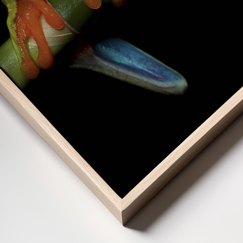 Canvas print - Curiosity frame close up