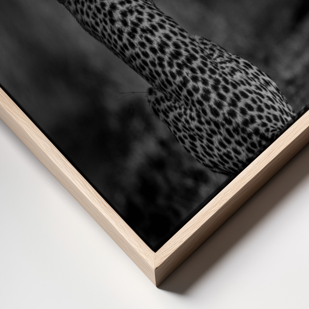 Canvas print - The look back frame close up