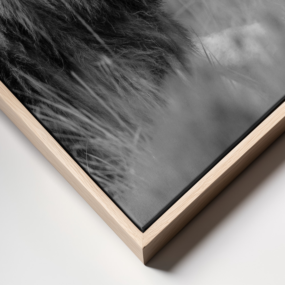Canvas print - The king is alone frame close up