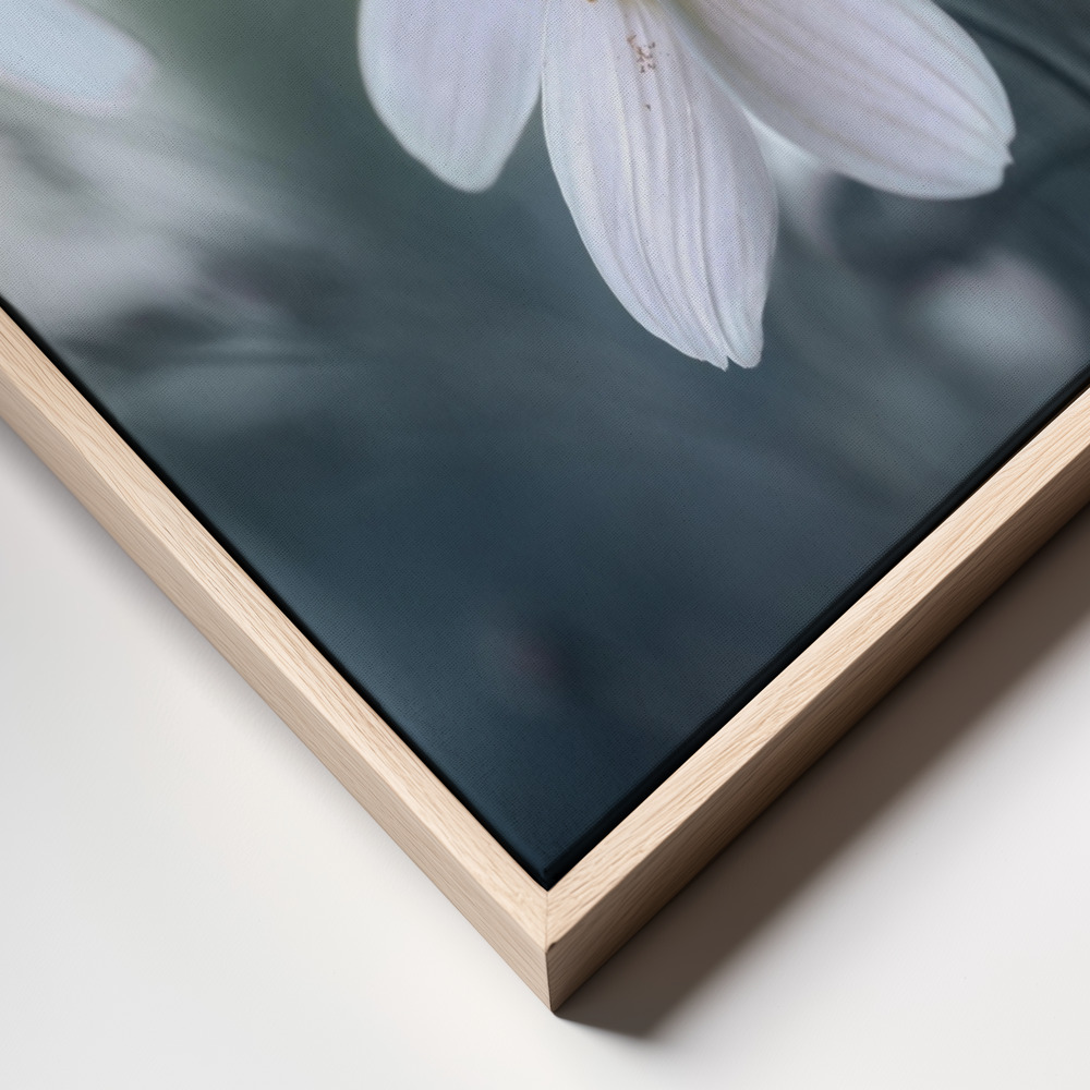 Canvas schilderi - Cosmos frame close up - natuurlijk frame