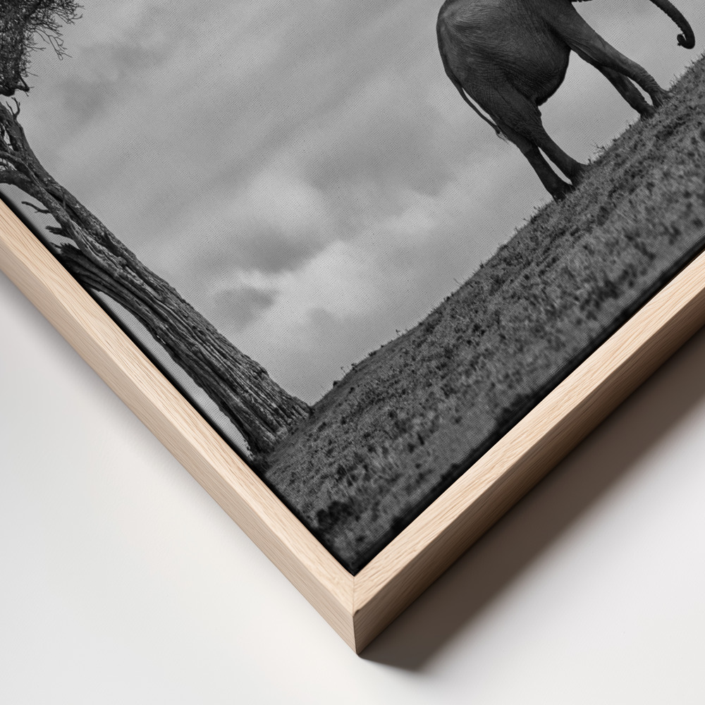 Canvas print - Elephant Landscape frame close up