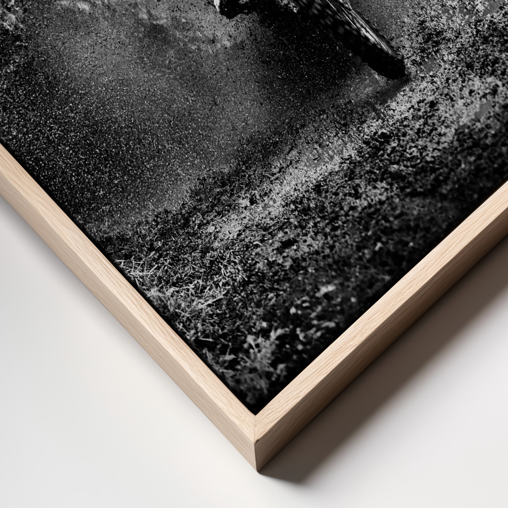 Canvas print - Mudbound Velocity frame close up