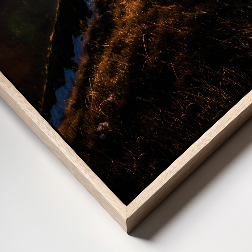 Canvas schilderi - Last rays frame close up - natuurlijk frame