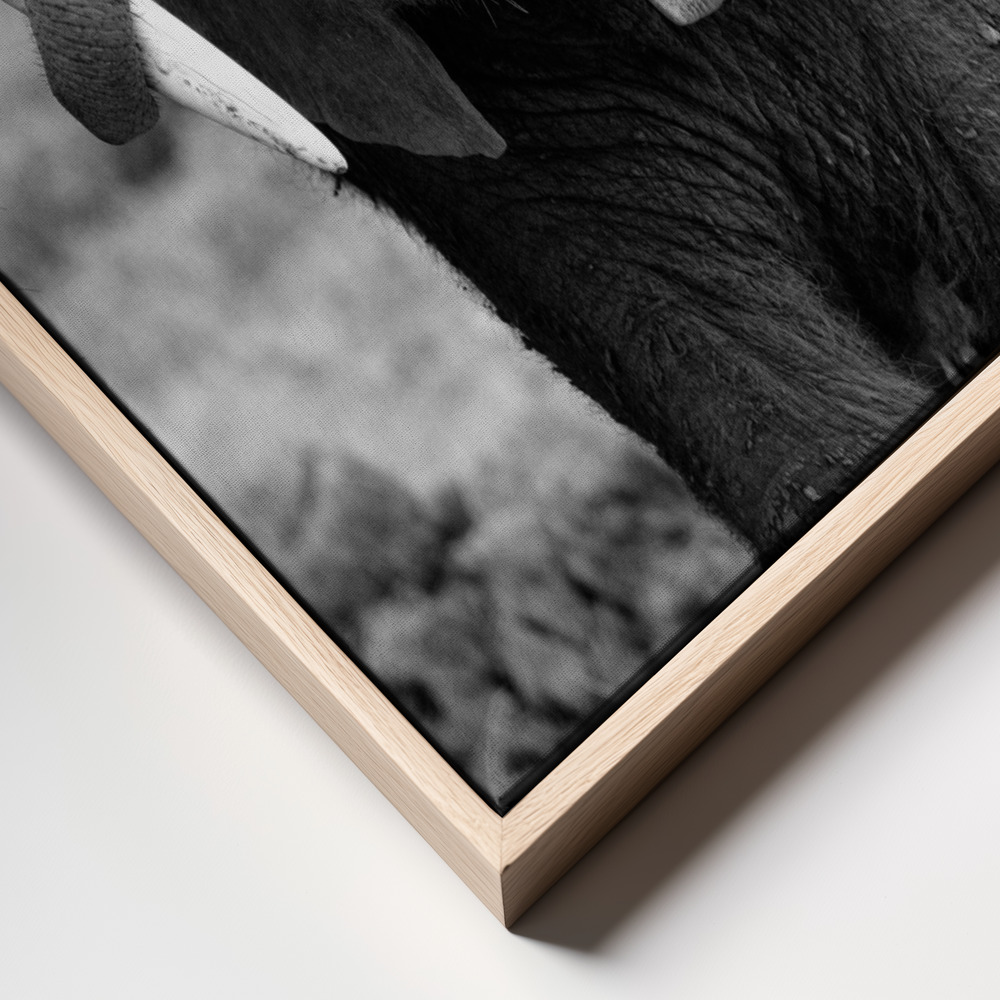Canvas print - Close frame close up