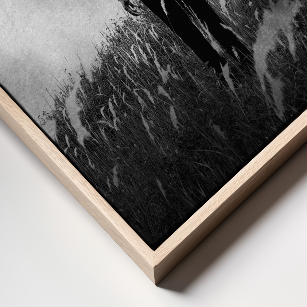 Toile - Freedom cadre en gros plan - cadre naturel