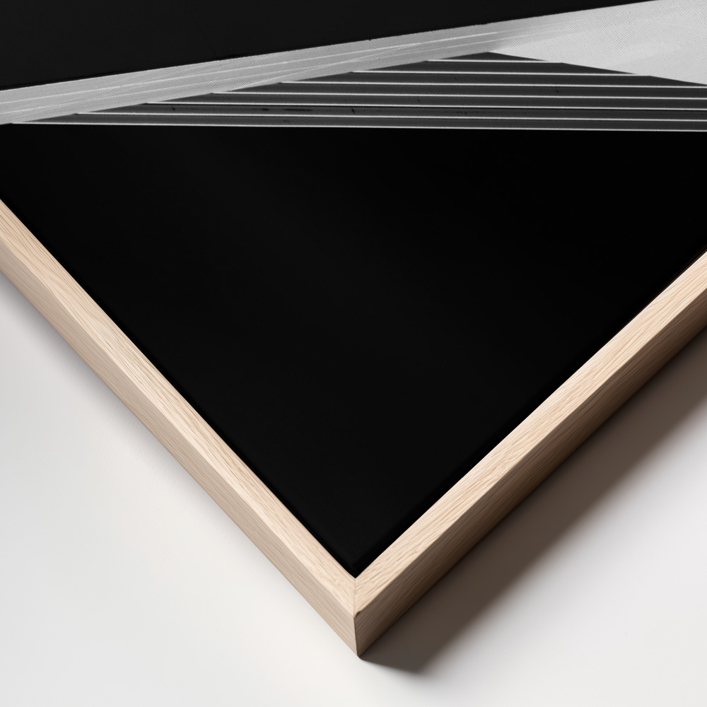 Canvas print - Abstraction of a swan frame close up