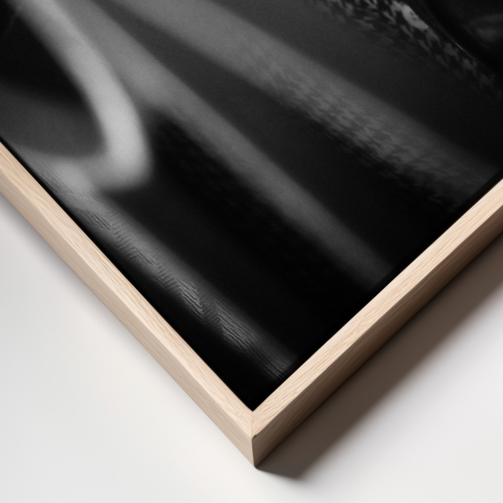 Canvas print - Shadows of Solitude frame close up