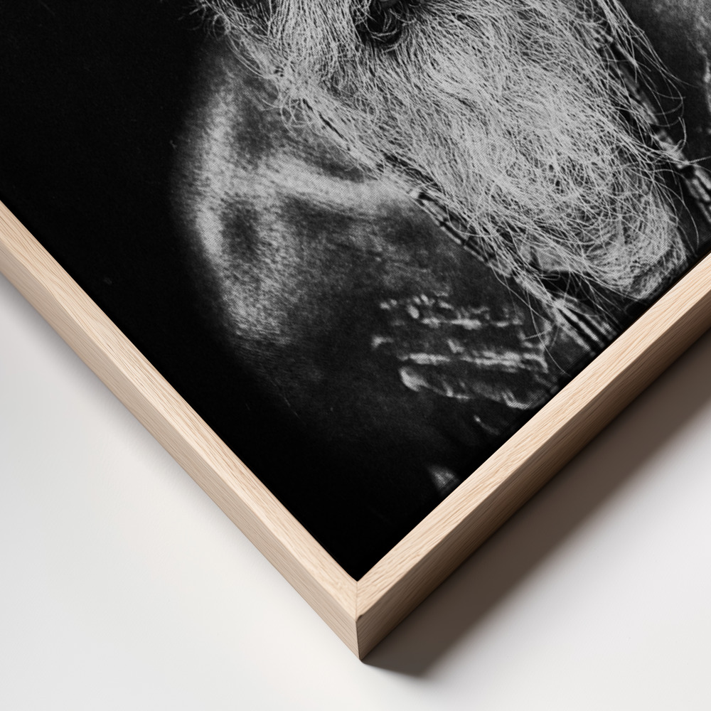 Canvas print - Face The Sadhu frame close up