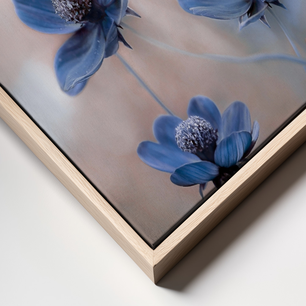Toile - Cosmos blue cadre en gros plan - cadre naturel