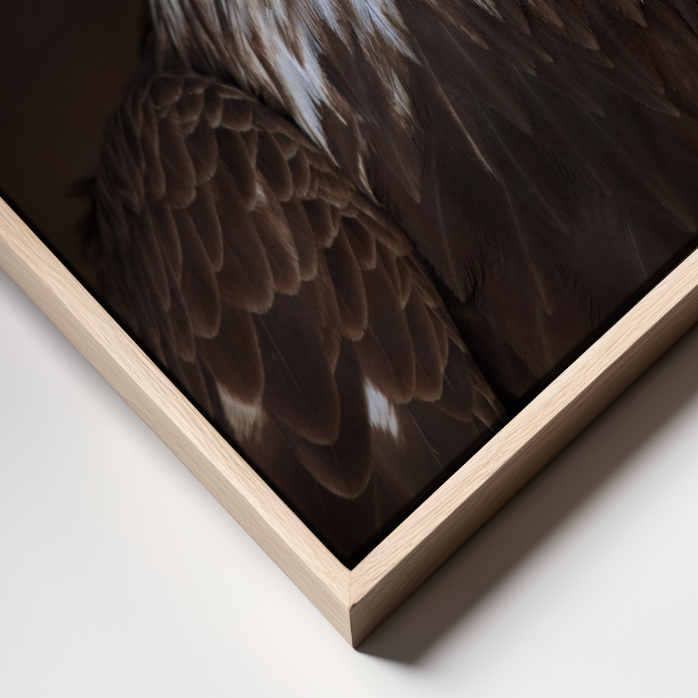 Canvas print - Caged - Bald Eagle frame close up