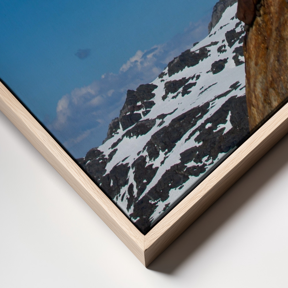 Stampe su tela - Free fall frame close up